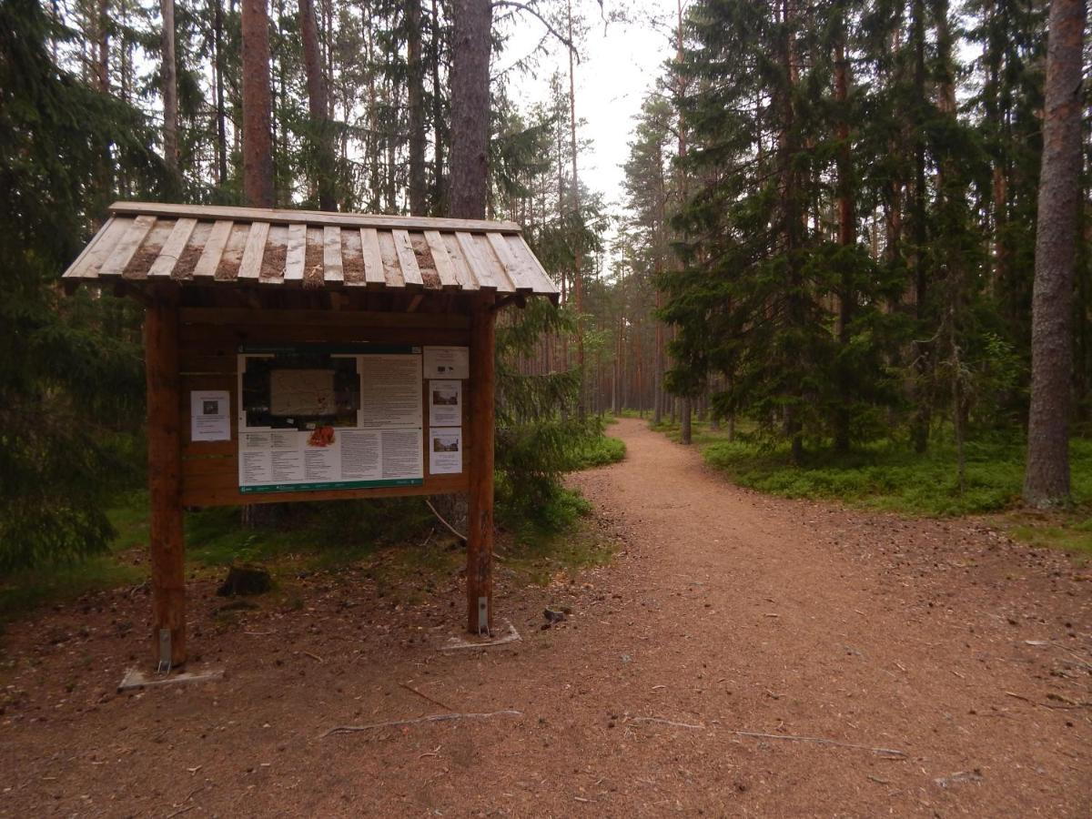 Haaviku Nature Cottage Tepelvalja Exterior foto