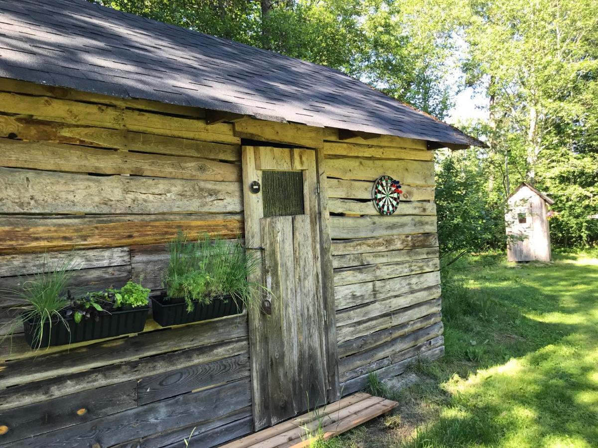 Haaviku Nature Cottage Tepelvalja Exterior foto