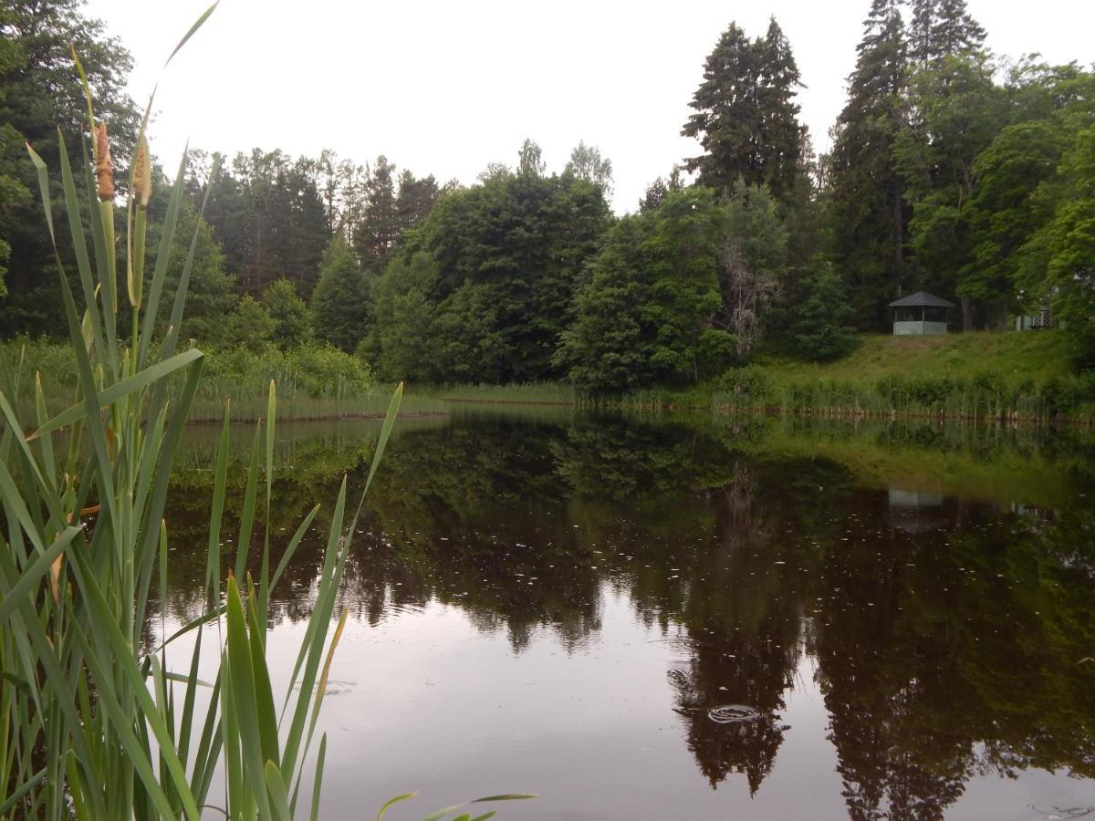 Haaviku Nature Cottage Tepelvalja Exterior foto